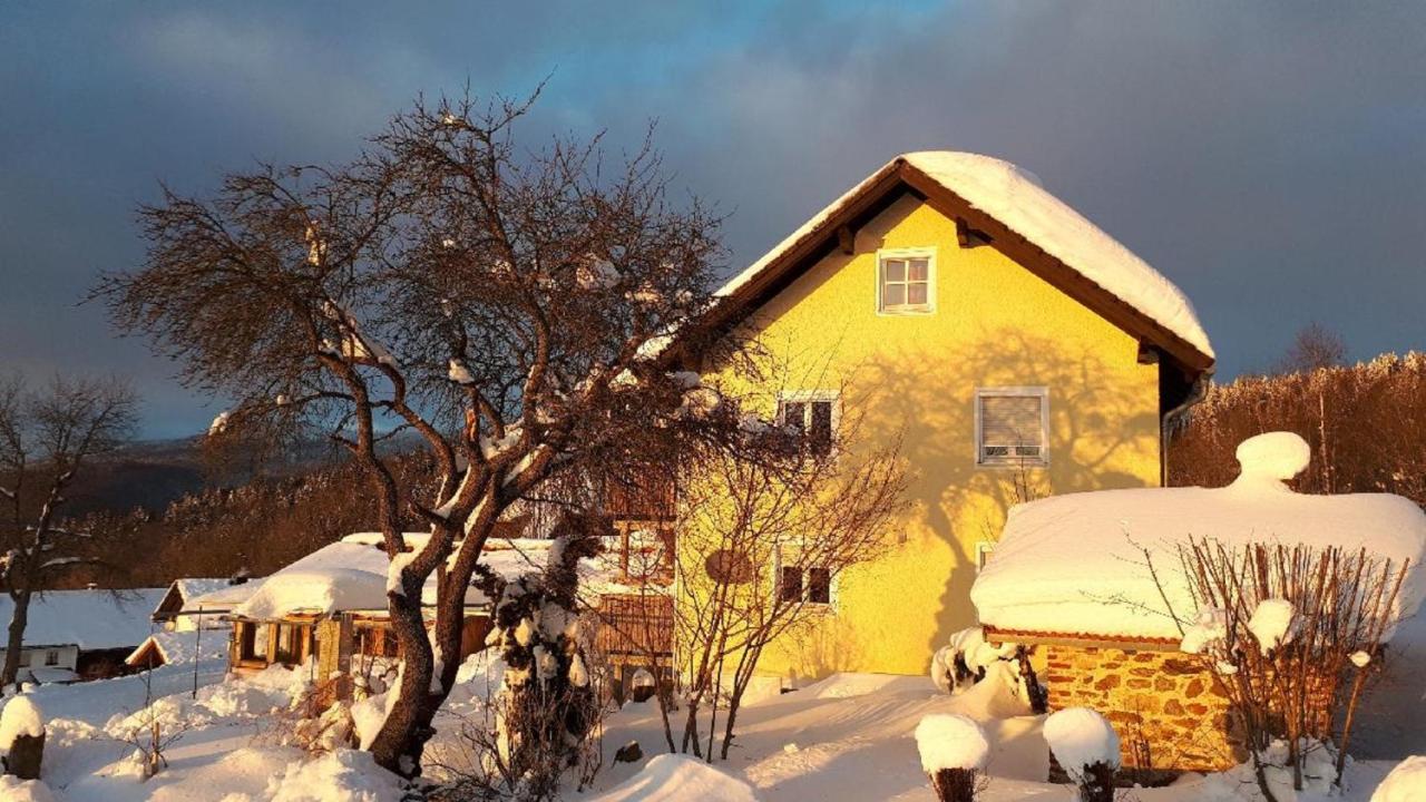 Ferienwohnung Sigi'S Waldhaus Neuschönau エクステリア 写真